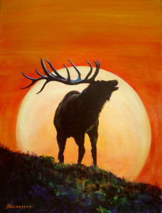 2006-0502 Wapiti Sunrise