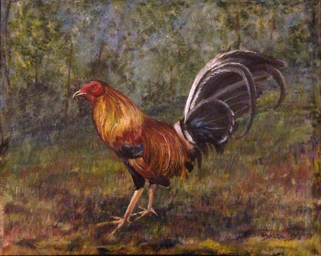 rooster crop