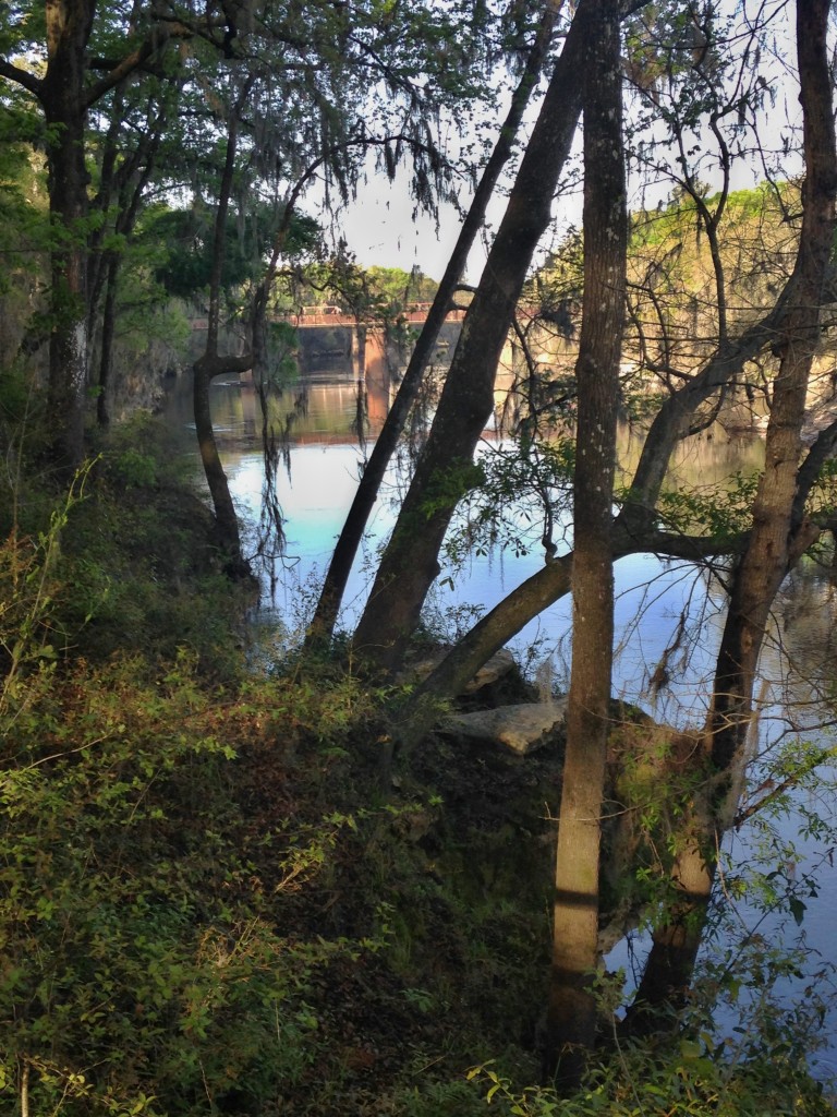 2016-03-24 a suwanee river